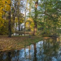 Park-nad-Starym-Kanalem-2021-10-28-11-1024x682