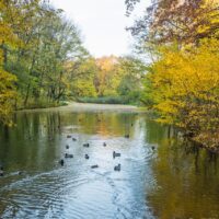 Park-nad-Starym-Kanalem-2021-10-28-18-1024x682