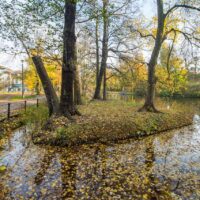 Park-nad-Starym-Kanalem-2021-10-28-6-1024x682